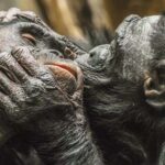 நியூயார்க் மேயர் மம்தானி அதிபர் டிரம்ப் உடன் சந்திப்பு!