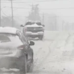 பாமக தலைவராக அன்புமணி தொடர முடியாது.. டெல்லி நீதிமன்றம் அதிரடி தீர்ப்பு..!