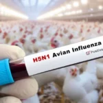 மகளிர் ஐபிஎல்.. இறுதிப்போட்டிக்கு தகுதி பெற்ற ஆர்சிபி.. கோவாவில் ஓய்வெடுக்கும் வீராங்கனைகள்..!