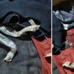 தொப்பையை சுலபமாக குறைக்க சில வழிகள்!