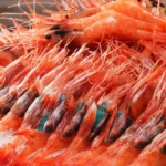 அமெரிக்கா பொய் சொல்லுது.. அப்படி ஒன்னு நடக்கவே இல்லை.. ஹார்முஸ் நீரிணை விவகாரம் குறித்து ஈரான்..!