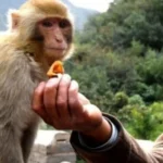 தனுஷின் அன்பை இழந்தது பெரிய இழப்பு!.. சூழ்நிலை அப்படி!.. விக்னேஷ் சிவன் பேட்டி!