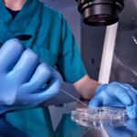 ஈரான் – அமெரிக்கா மீண்டும் பேச்சுவார்த்தை!.. போர் நிறுத்தம் ஏற்படுமா?..