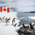 இலங்கைக்கான சேவையை ஆரம்பிக்கும் குவைத் ஏர்வேஸ்!