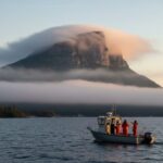 அபுதாபியை அட்டாக் செய்த ஈரான் ஏவுகணை.. 12 இந்தியர்கள் படுகாயம்.. மருத்துவமனையில் அனுமதி..!