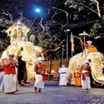 துபாயில் 1,096 ரூபாய்க்கு விற்கப்படும் பானி பூரி மும்பையில் 60 ரூபாய்.. ஆச்சரியம் அடைந்த ரஷ்ய நடிகை…