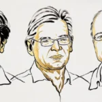 கற்பிட்டி கடற்கரை பகுதியில் பீடி இலைகள் மீட்பு
