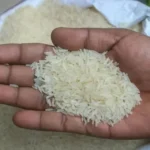 ஷ்ரேயாஸ் ஐயர் அதிரடி சதம்: வெஸ்ட் இண்டீஸை வீழ்த்தி இந்தியா அபார வெற்றி!